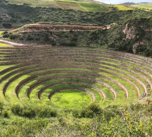 Moray