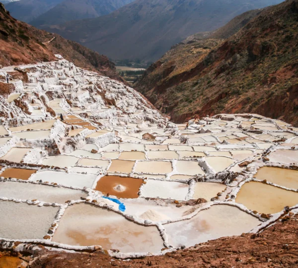 Maras